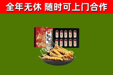 黎城回收冬虫夏草价格